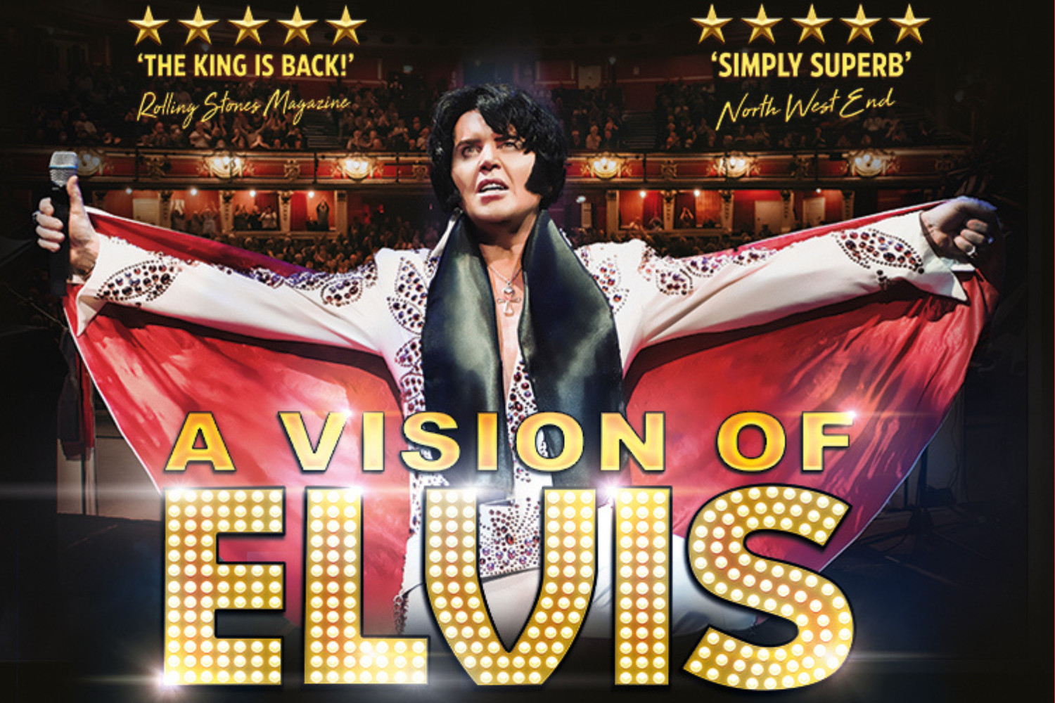 A Vision of Elvis